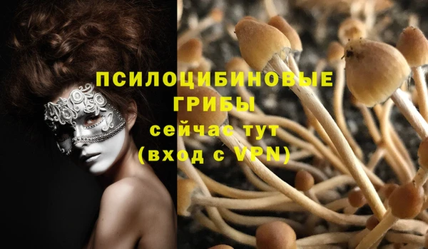 трава Богородицк