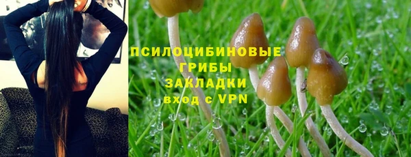 трава Богородицк